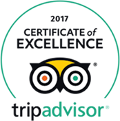 Tripadvisor-Awards-Travel Surity